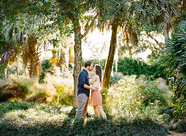 blue button down shirt, khaki pants, off white blouse, light pink skirt, sun, glow, luminous, back light, natural, trees, bushes,  